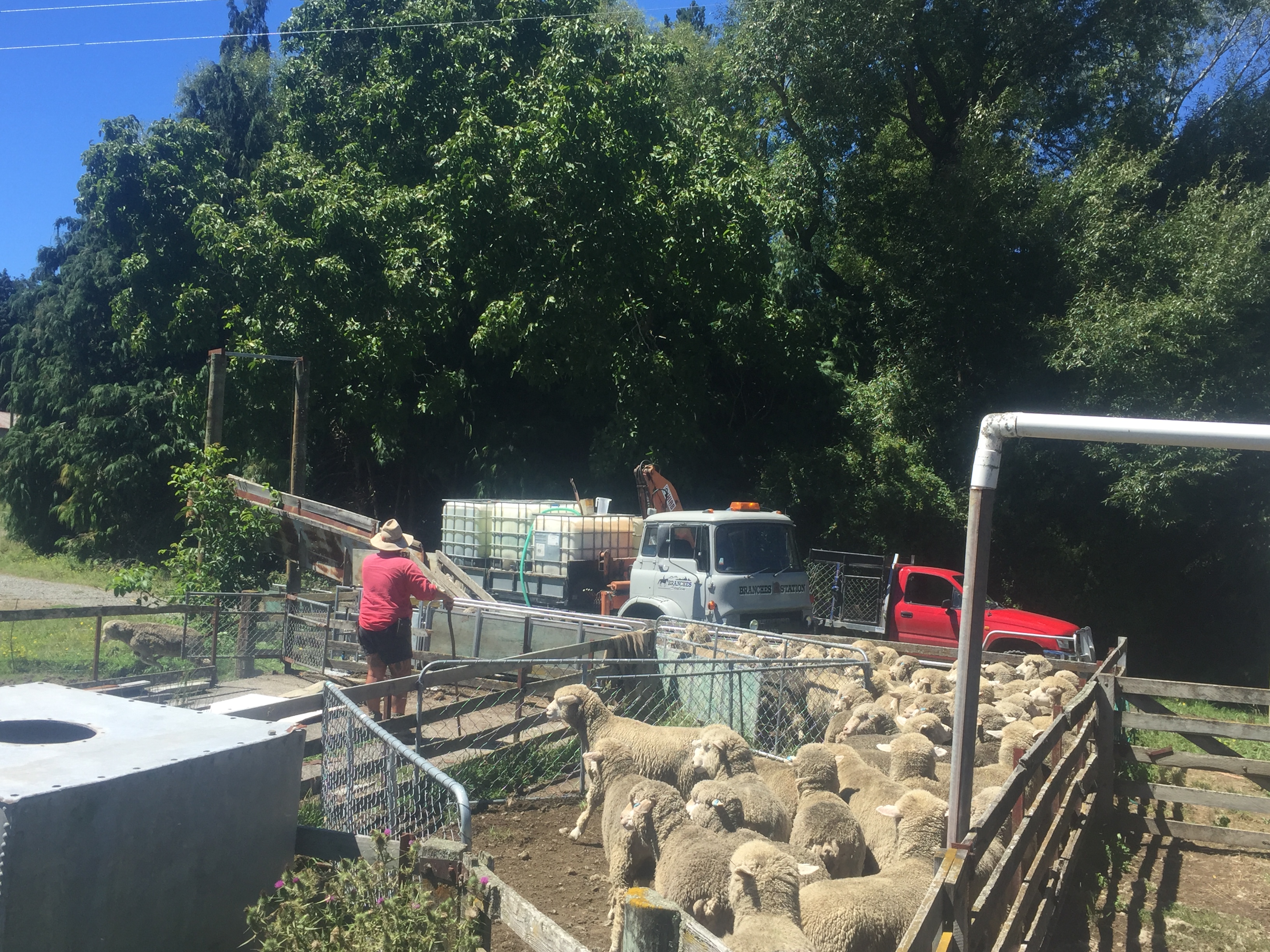 Caverhill Farm Sheep Dip